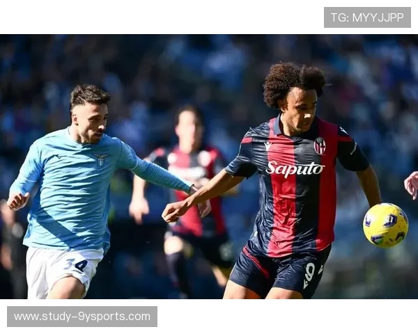 维罗纳俱乐部最新动态全面解析球队赛季表现与未来计划